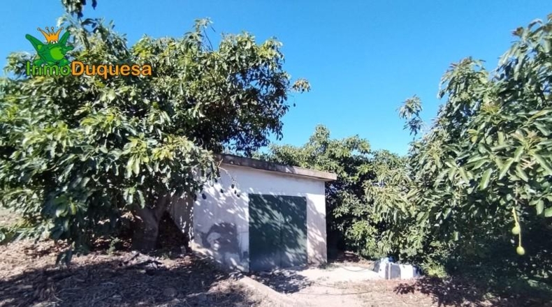 Granada - Almuñécar - 26800m2