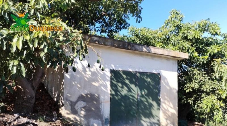 Granada - Almuñécar - 26800m2