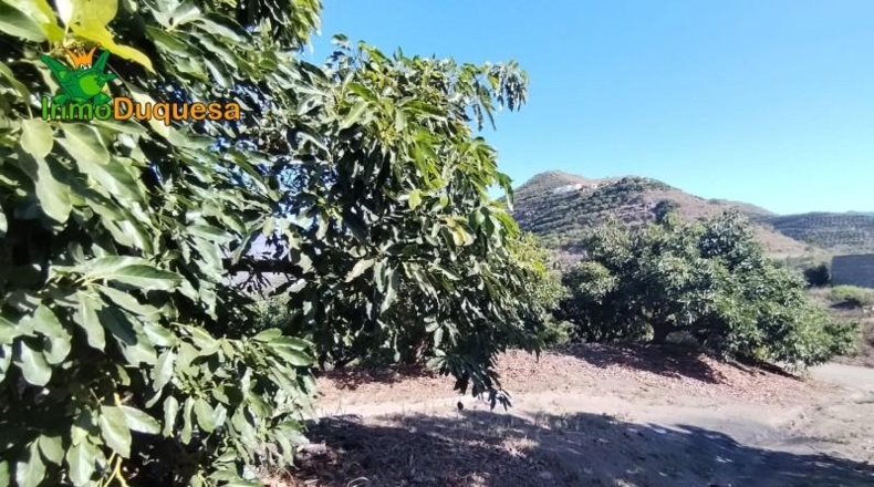 Granada - Almuñécar - 26800m2