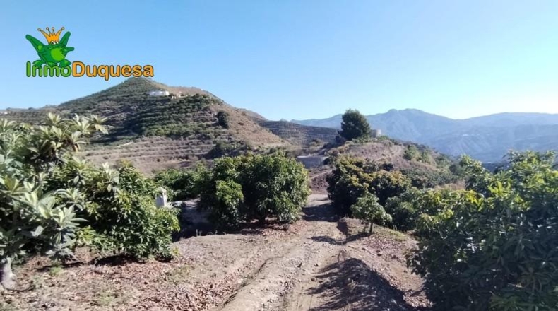 Granada - Almuñécar - 26800m2