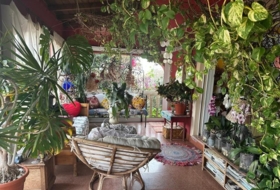 Foto 8