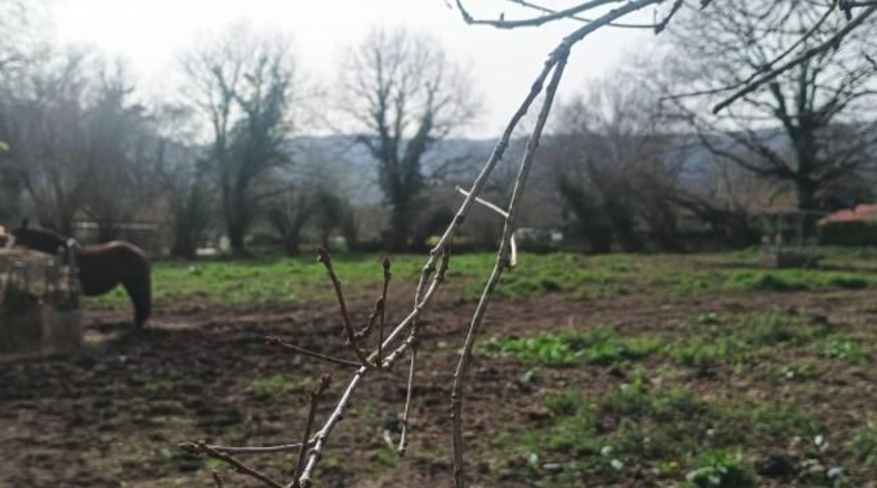 Cantabria - Cabezón de la Sal - 3344m2