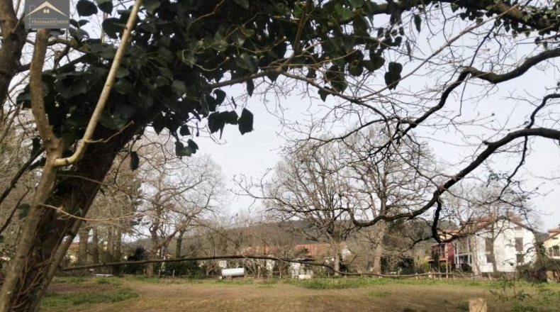 Cantabria - Cabezón de la Sal - 3344m2