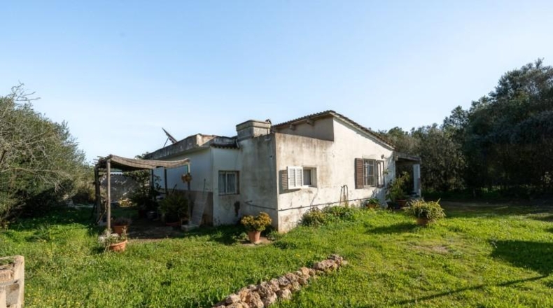 Balearic Islands - Sencelles - 1200m2