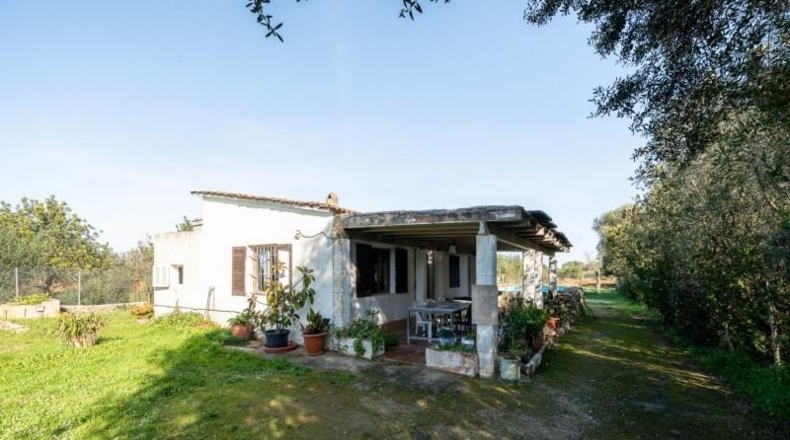 Balearic Islands - Sencelles - 1200m2