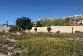 Alicante 2107&nbsp;m²