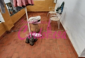 Foto 14