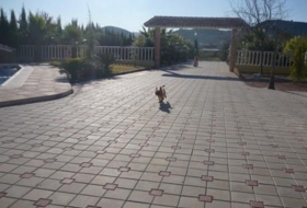 Foto 14