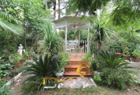 Foto 11