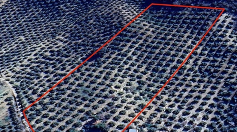 Гранада - Montefrío - 55000m2