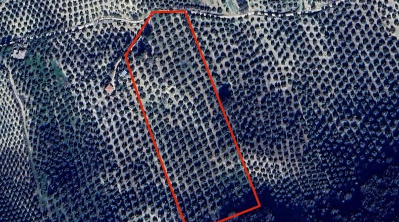 Гранада - Montefrío - 55000m2