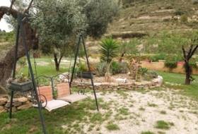 Foto 7