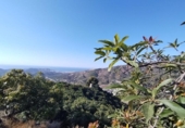 Terreno no urbanizable en venta en la España, Almuñécar, ref: TR286030 foto