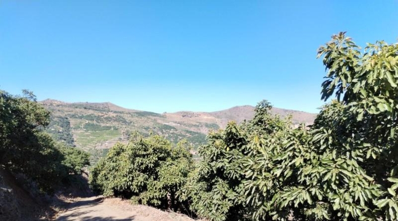 Granada - Альмуньекар - 26800m2