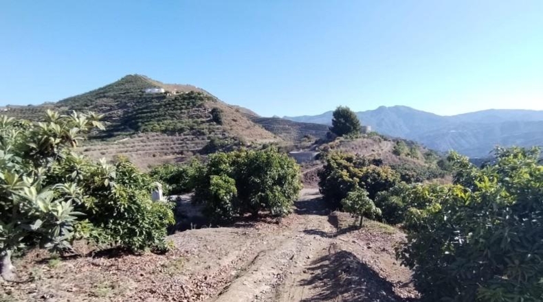 Granada - Альмуньекар - 26800m2