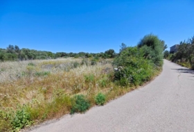 Campos 14658&nbsp;m²