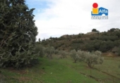 Casa de campo con terreno en venta en la España, Cáceres, ref: TR376414 foto