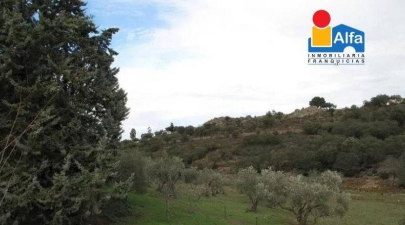 Cáceres - Cáceres - 70000m2