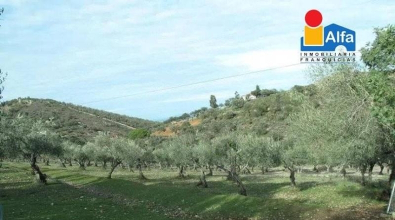 Cáceres - Cáceres - 70000m2