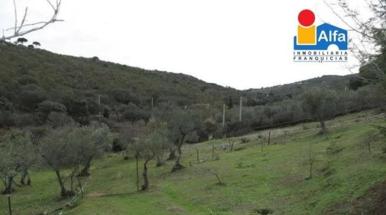 Cáceres - Cáceres - 70000m2