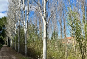 Tudela de Duero 701&nbsp;m²