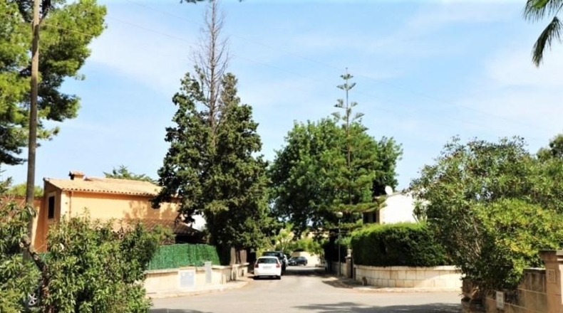 Balearic Islands - Alcudia - 1049m2