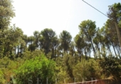 Suelo urbano en venta en la España, Alcúdia, ref: TR113148 foto