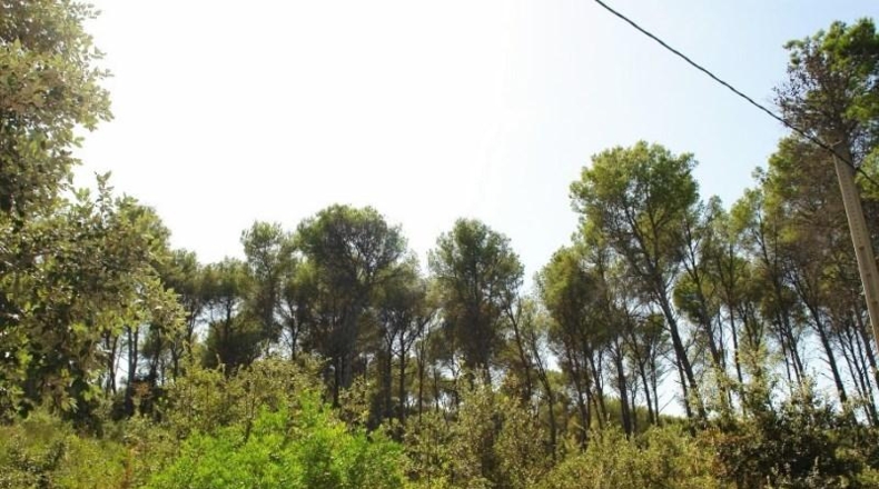 Balearic Islands - Alcudia - 1024m2