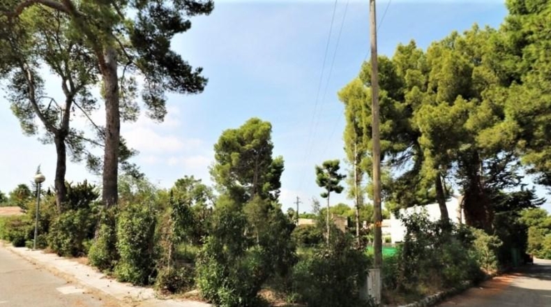 Balearic Islands - Alcudia - 1015m2