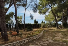 Foto 11