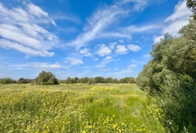 Campos 16380&nbsp;m²