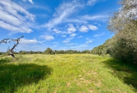 Campos 16380&nbsp;m²