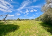 Terreno no urbanizable en venta en la España, Campos, ref: TR396422 foto