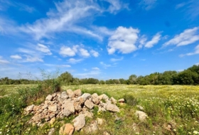Campos 16380&nbsp;m²