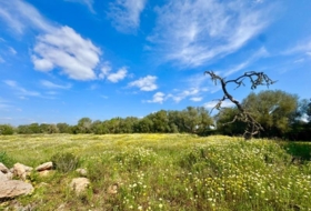 Campos 16380&nbsp;m²
