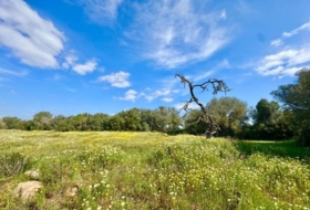 Campos 16380&nbsp;m²
