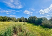 Terreno no urbanizable en venta en la España, Campos, ref: TR396422 foto