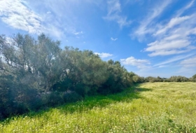 Campos 16380&nbsp;m²