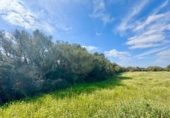 Terreno no urbanizable en venta en la España, Campos, ref: TR396422 foto