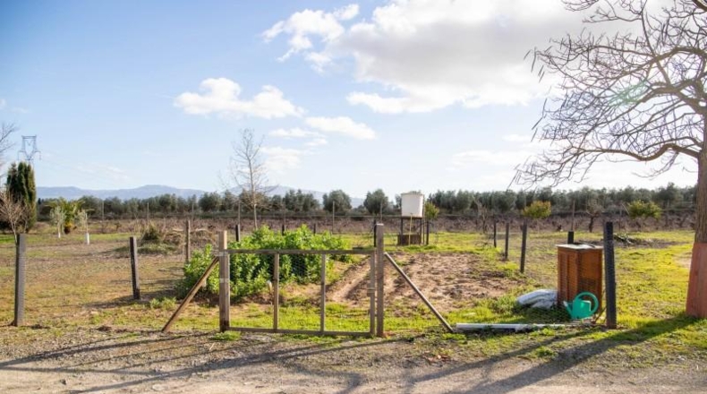 Málaga - Mollina - 7000m2