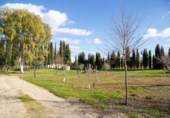 Casa de campo con terreno en venta en la España, Mollina, ref: TR387076 foto