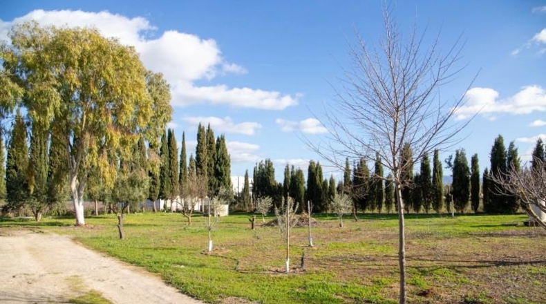 Málaga - Mollina - 7000m2
