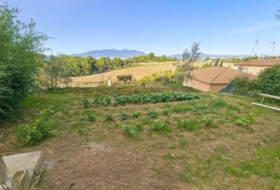 Piera 550&nbsp;m²