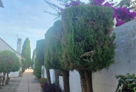 Foto 10