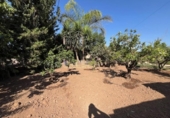Casa de camp amb terreny en venda a la España, Fuente Álamo, ref.: TR388595 foto
