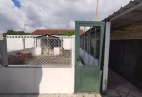 Foto 15