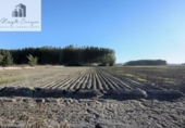 Finca rústica en venta en la España, Fuente Vaqueros, ref: TR369498 foto