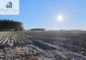 Finca rústica en venta en la España, Fuente Vaqueros, ref: TR369498 foto