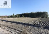 Finca rústica en venta en la España, Fuente Vaqueros, ref: TR369498 foto