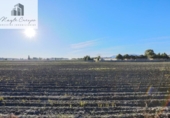 Finca rústica en venta en la España, Fuente Vaqueros, ref: TR369498 foto